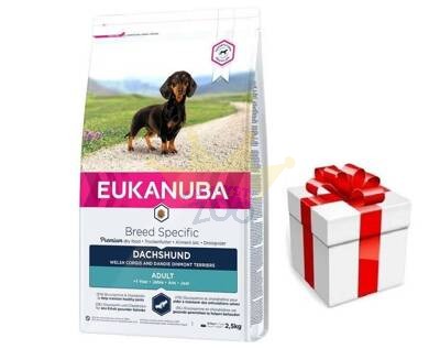Eukanuba Breed Specific Adult Dachshund 2,5kg  + STAIGMENA ŠUNUI