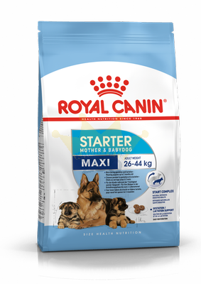 ROYAL CANIN Maxi Starter Mother&Babydog 15kg + STAIGMENA ŠUNUI