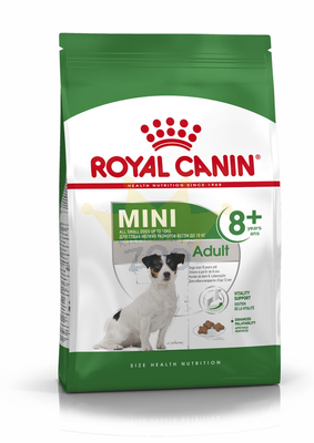 ROYAL CANIN Mini Adult +8 Plus - 2kg + STAIGMENA ŠUNUI