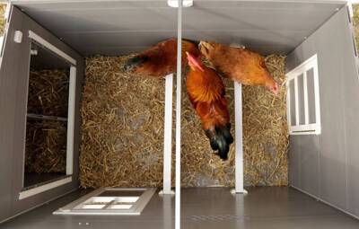Plastikinis namelis naminiams paukščiams "ECO Barney", 137 x 73 x 83 cm, Kerbl