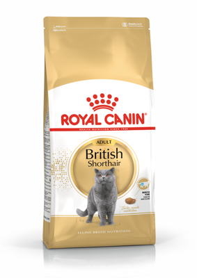ROYAL CANIN British Shorthair 400g sausas ėdalas suaugusioms britų trumpaplaukėms katėms