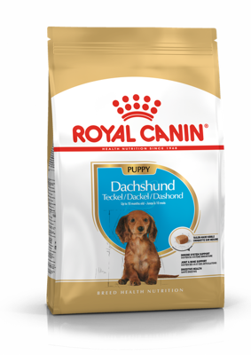 ROYAL CANIN Dachshund Junior 1,5kg + Royal Canin dovana