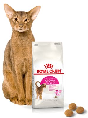 ROYAL CANIN Exigent Aromatic Attraction 33 10 kg sauso ėdalo suaugusioms, išrankioms, į kvapus linkusioms katėms 