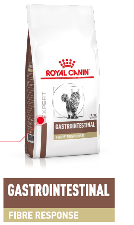 ROYAL CANIN Fibre Response Gastrointestinal FR 31 400g