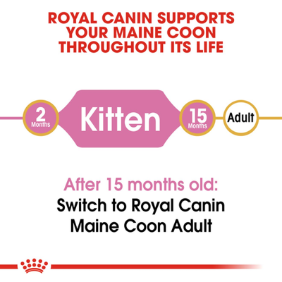ROYAL CANIN Meino meškėnų veislės kačiukas 2kg sauso maisto kačiukams iki 15 mėn., Meino meškėnų veislė