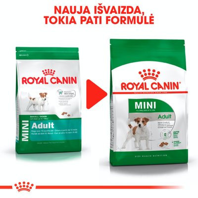 ROYAL CANIN Mini Adult 4kg sausas ėdalas suaugusiems mažų veislių šunims
