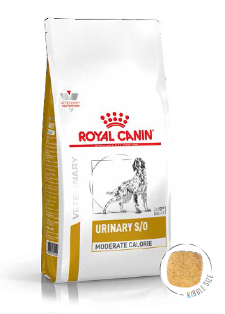 ROYAL CANIN Urinary S/O Moderate Calorie UMC 20 12kg + STAIGMENA ŠUNUI
