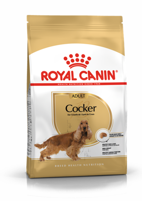 Royal Canin Cocker Adult 12 kg  + STAIGMENA ŠUNUI