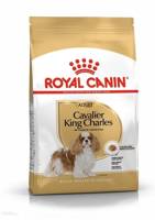 ROYAL CANIN Cavalier King Charles Spaniel Adult 1,5 kg sausas maistas suaugusiems kavalier king charles spanieliams