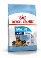 ROYAL CANIN Maxi Starter Mother&amp;Babydog 15kg sausas ėdalas nėščioms ir žindančioms kalėms ir šuniukams, nuo 4 iki 8 savaičių, didelėms veislėms 